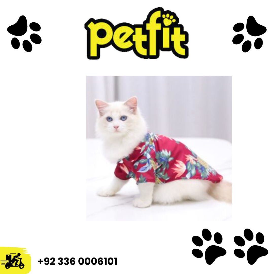 +92 336 0006101 (33)