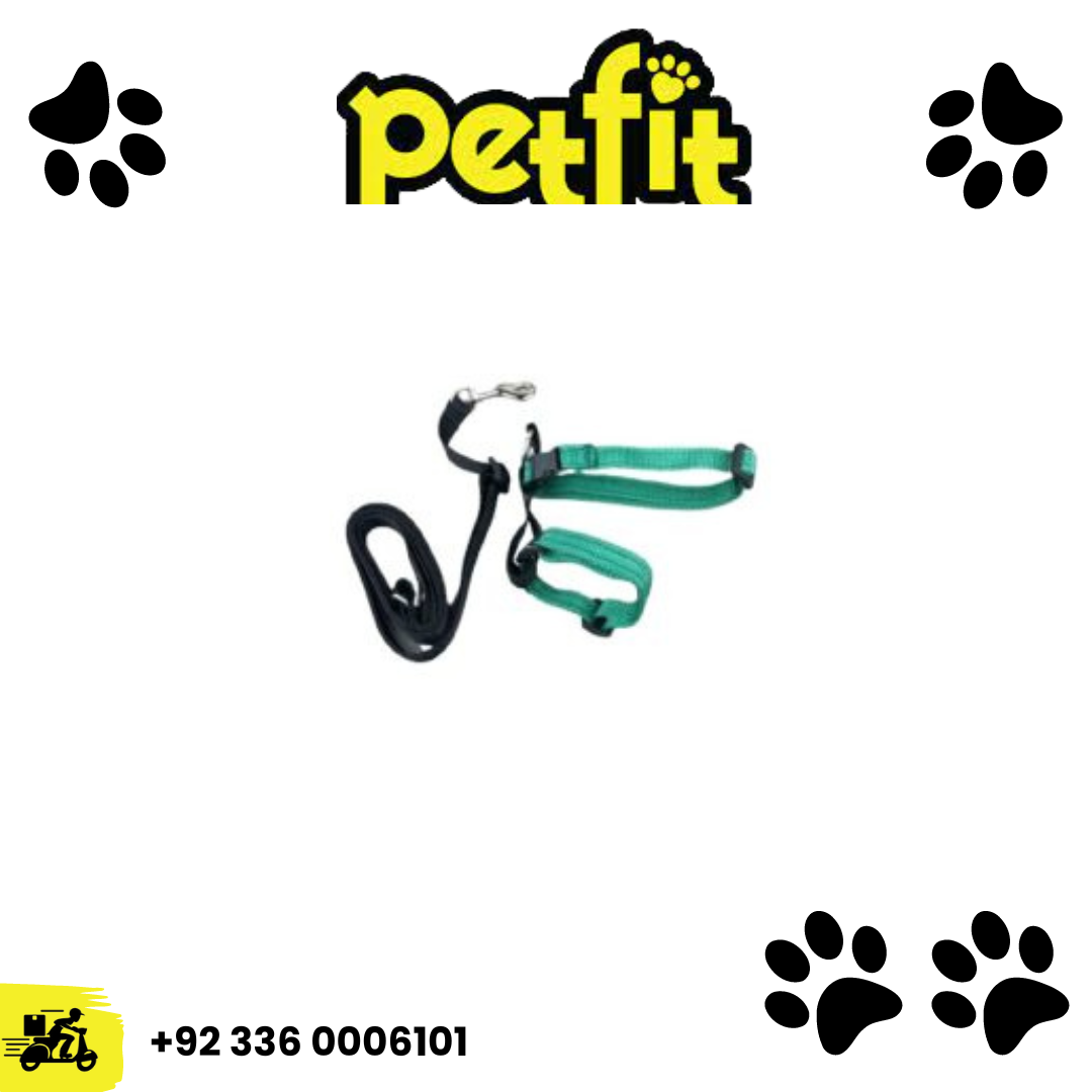 +92 336 0006101 (50)