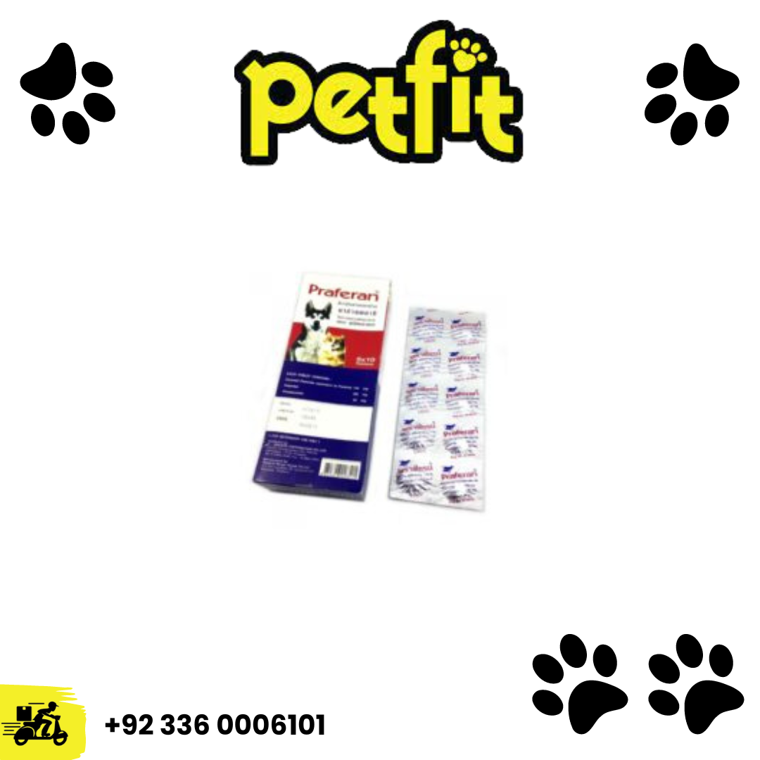 +92 336 0006101 (51)