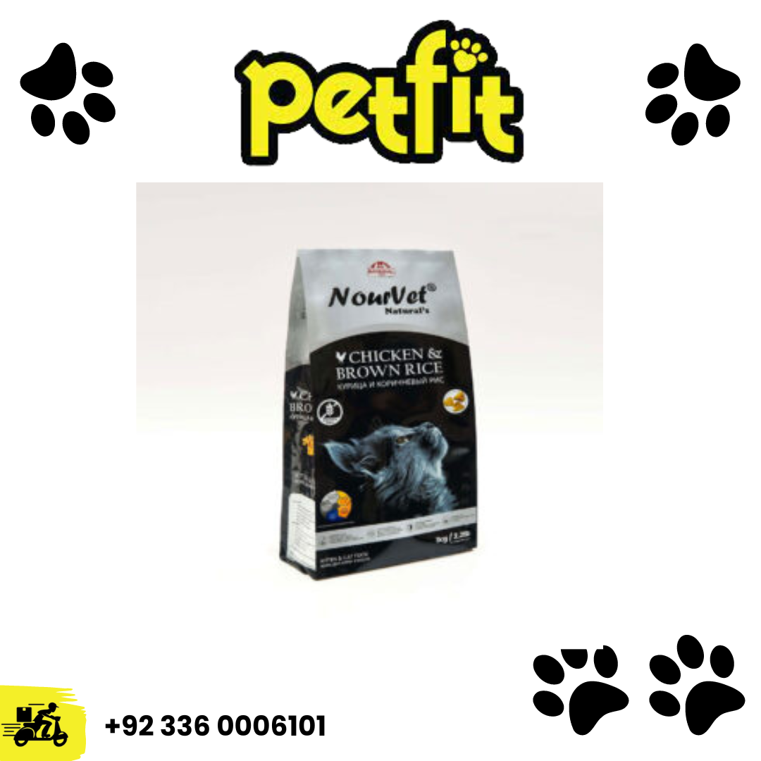 +92 336 0006101 (57)