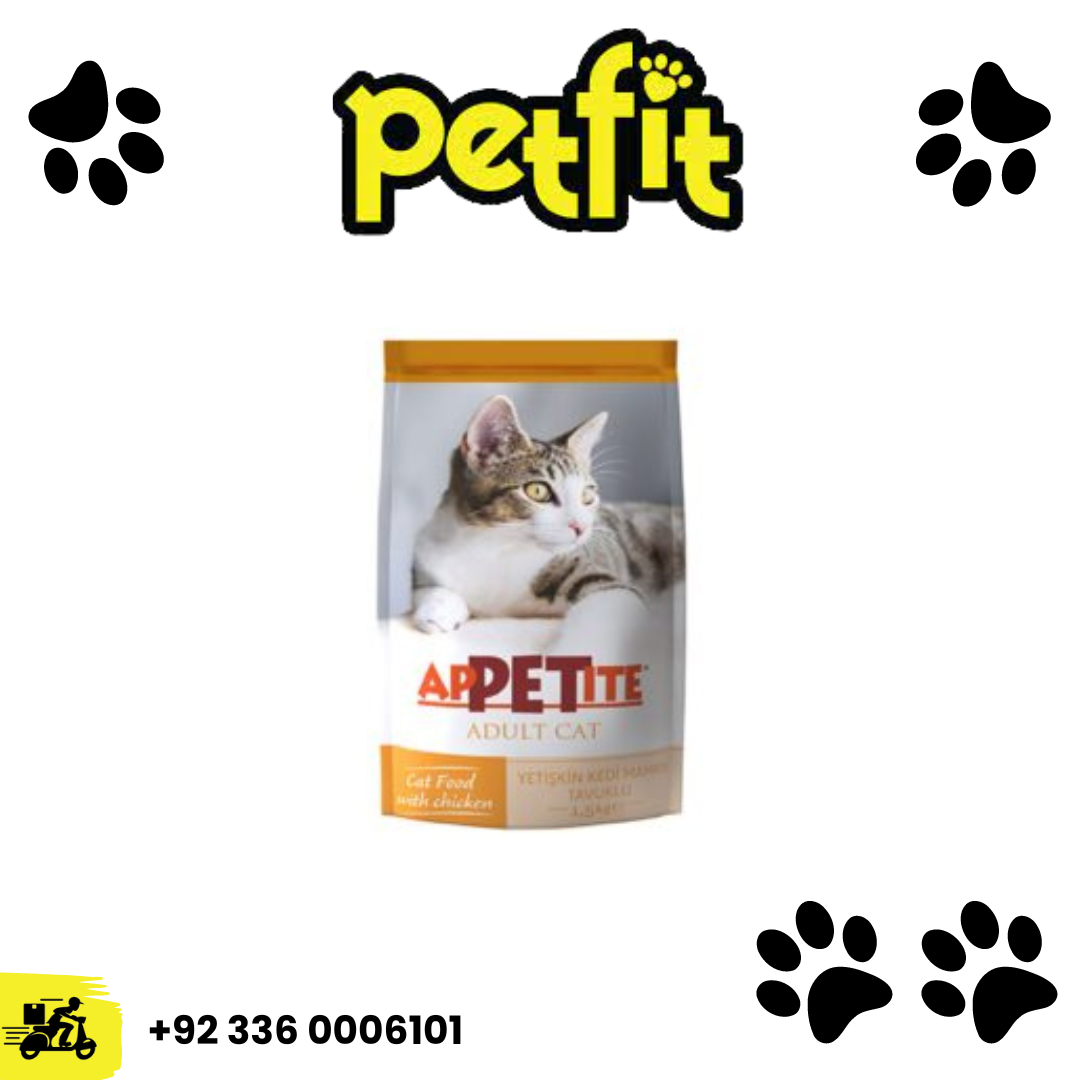 +92 336 0006101 (62)