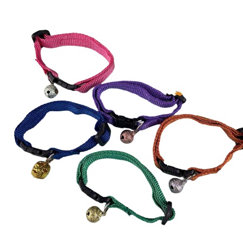 IMG_E7162-removebg-preview