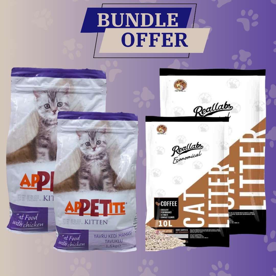 BUNDLE_20240408_000551_0000