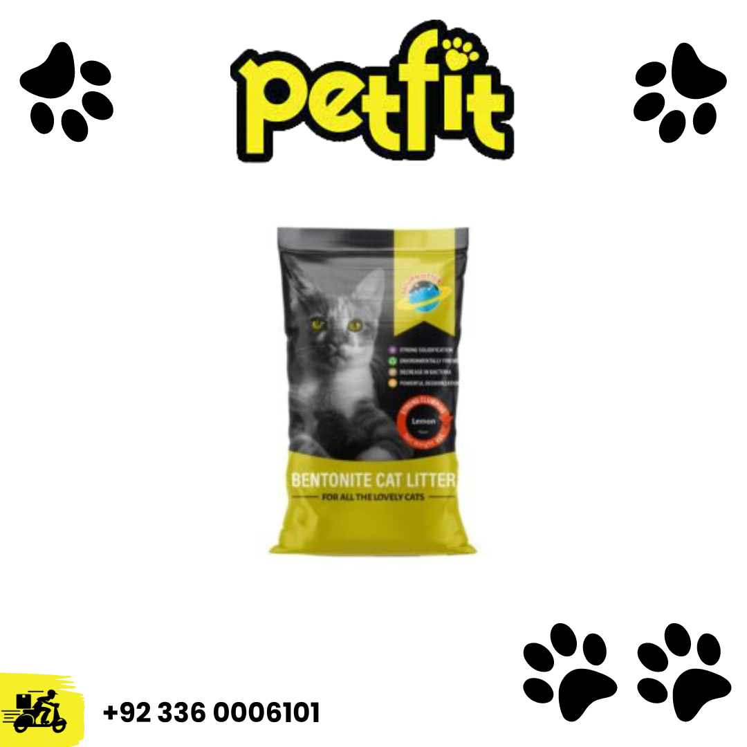 +92 336 0006101 (15)