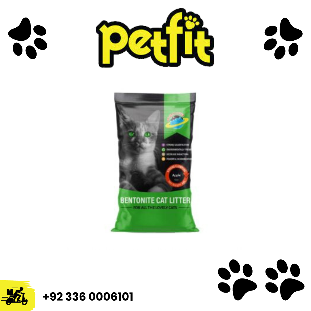 +92 336 0006101 (16)