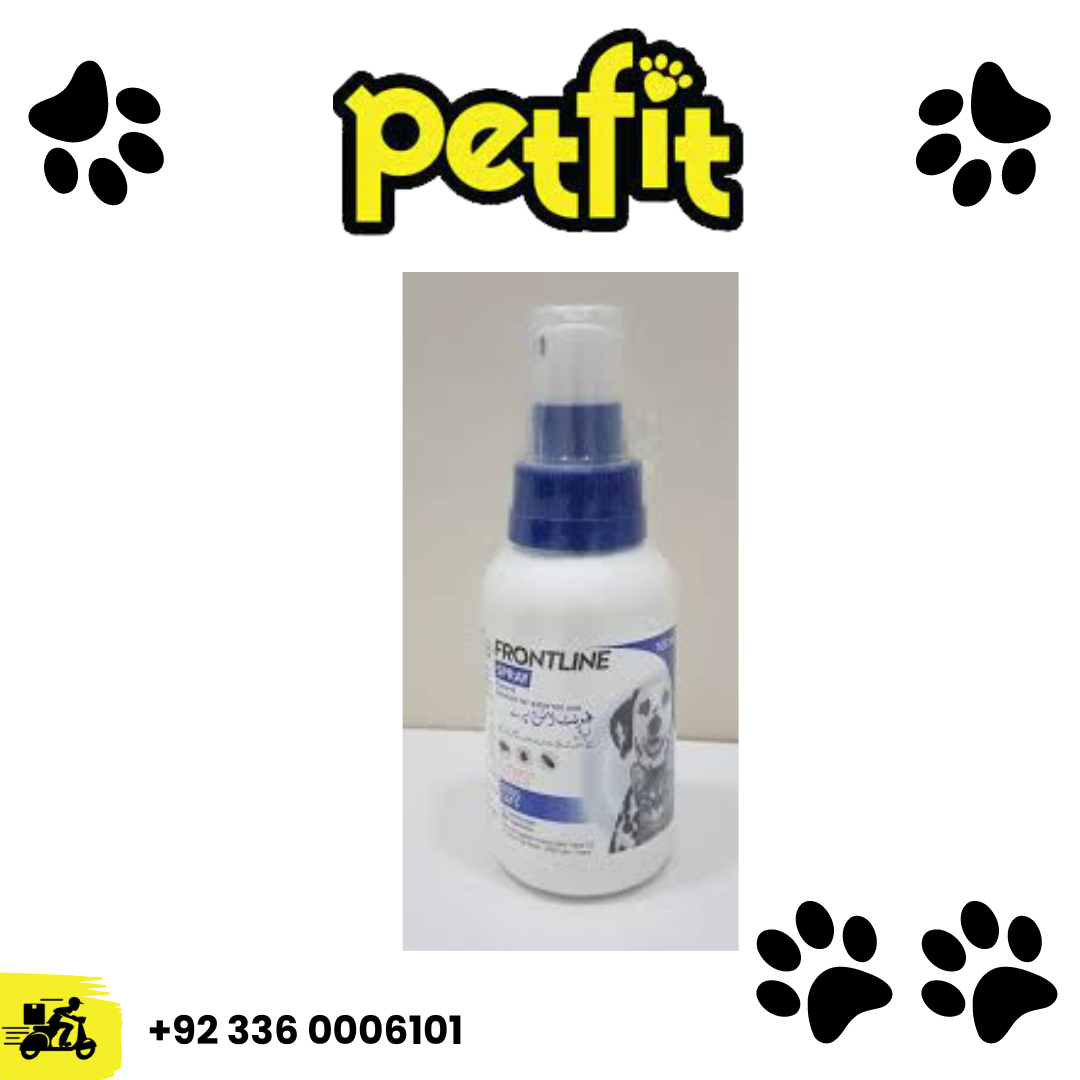 +92 336 0006101 (17)