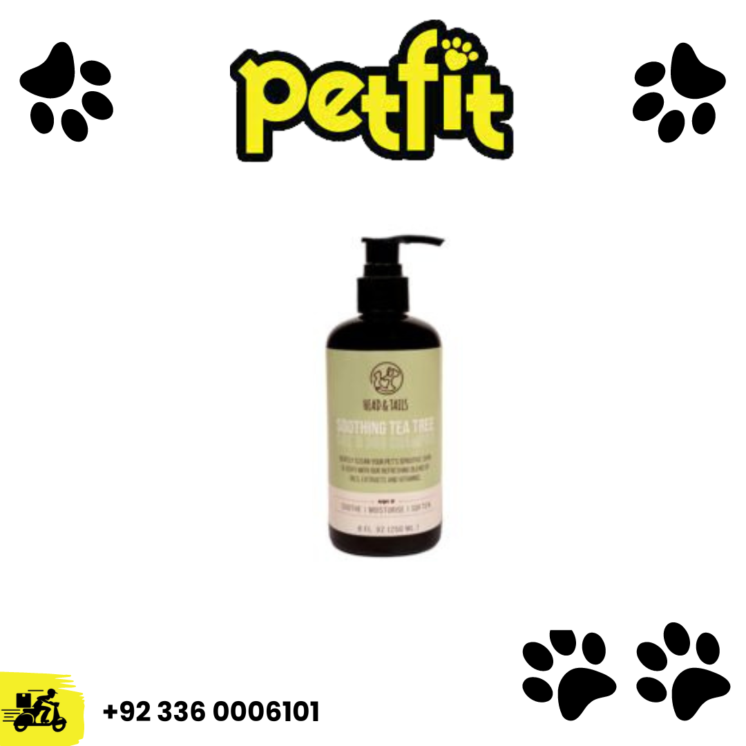 +92 336 0006101 (19)