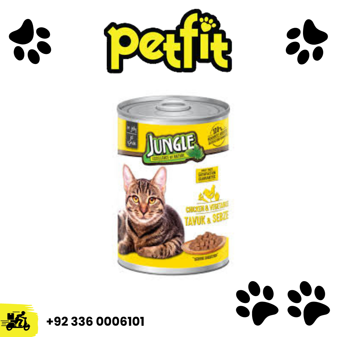 +92 336 0006101 (29)