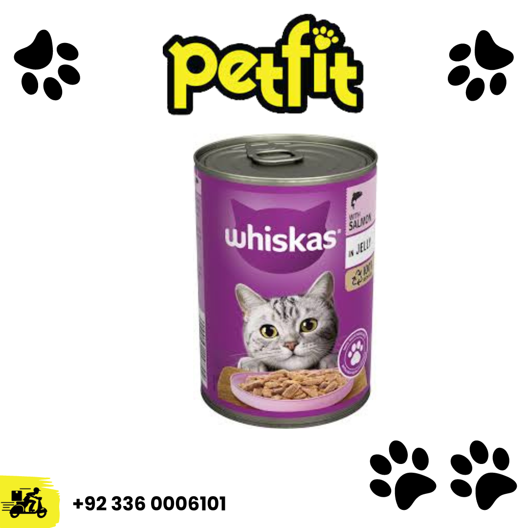 +92 336 0006101 (31)