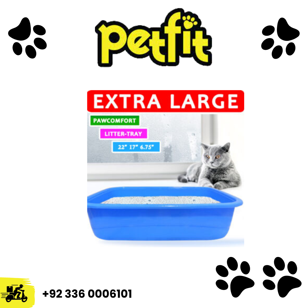 +92 336 0006101 (32)