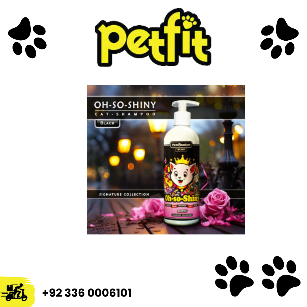 +92 336 0006101 (38)