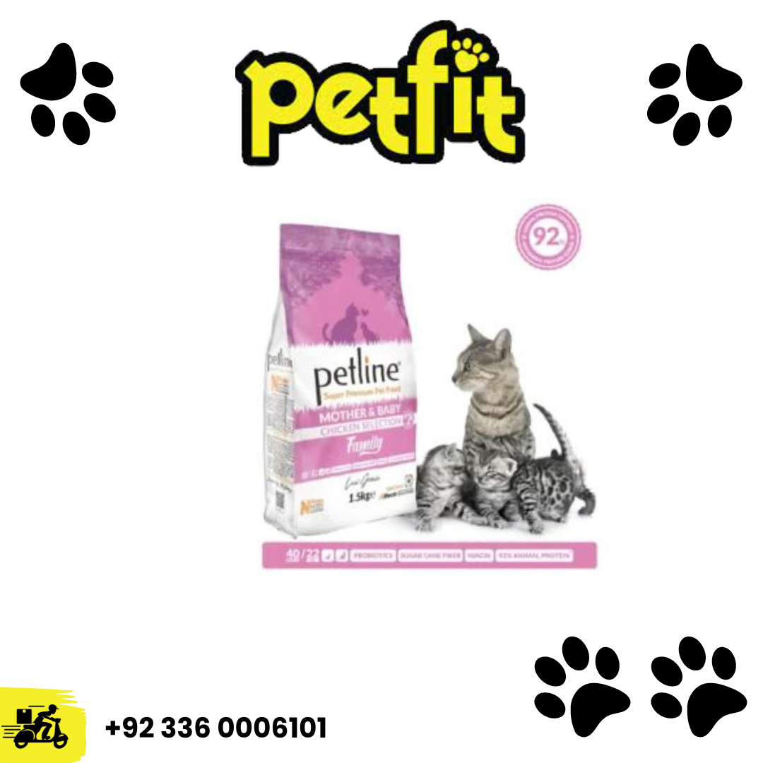 +92 336 0006101 (42)